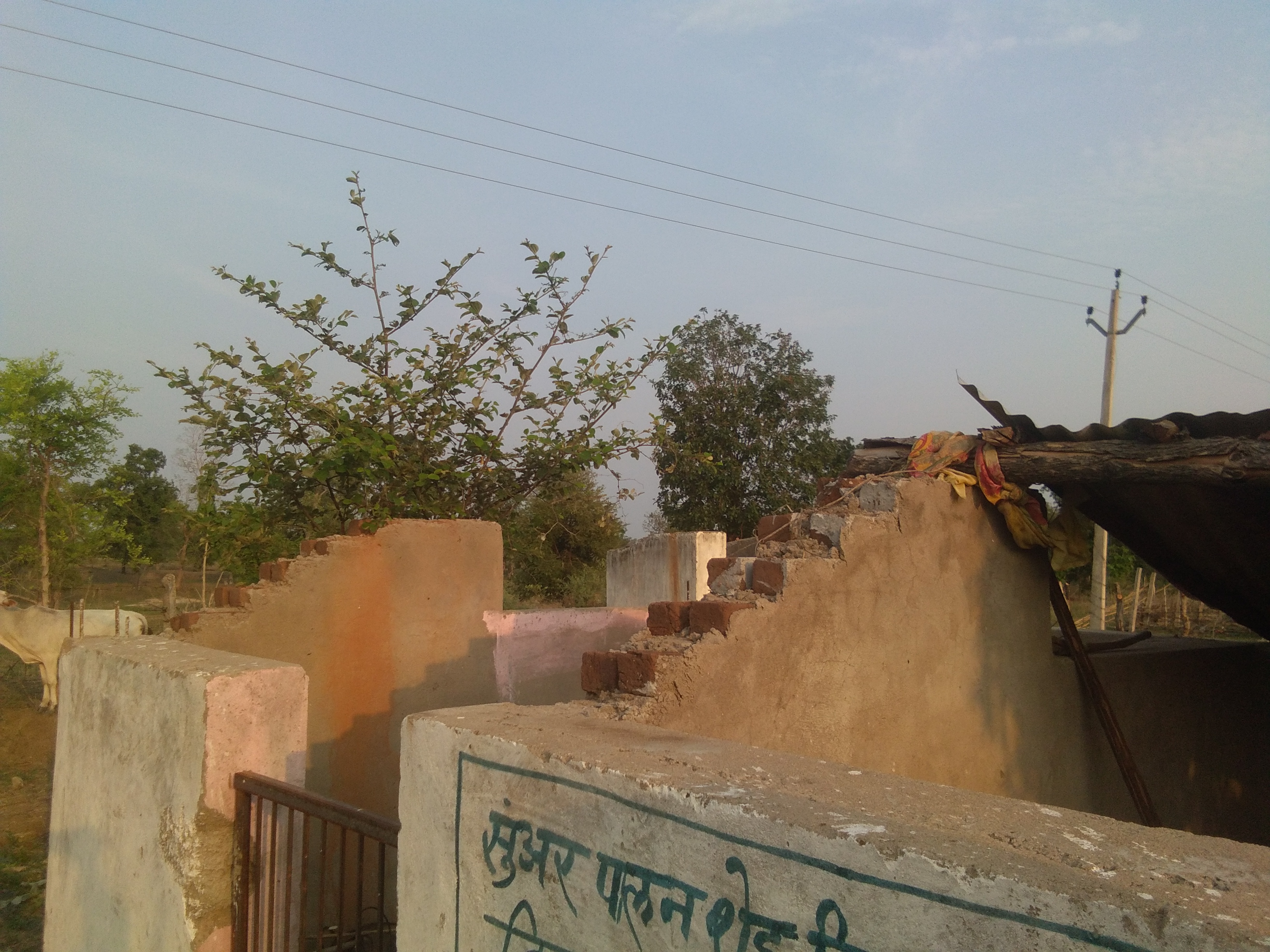 mungeli news विस्थापित ग्राम के बैगा आदिवासियों को नहीं मिल पा रही हैं मूलभूत सुविधाएं