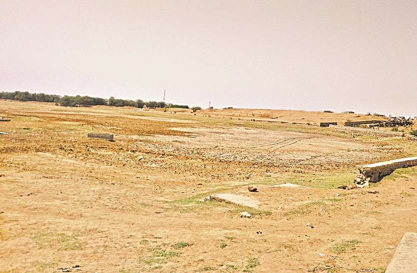 Barmer news जहां रखे जाते थे अमरकोट के आम, वहां आगोर में बबूल