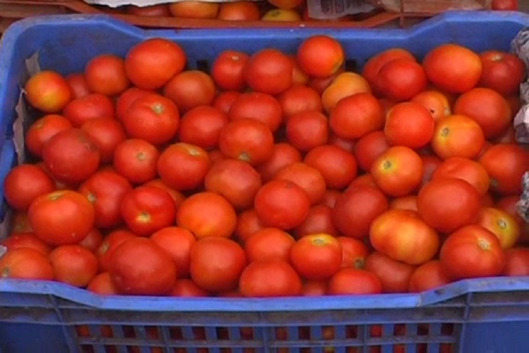 tomato