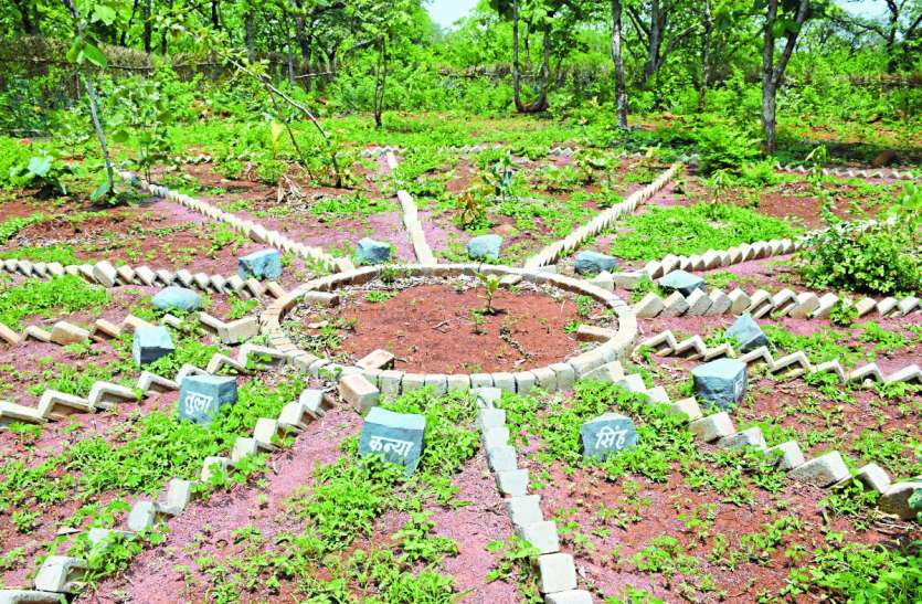 New Planet Vatika Plantation Panchavati राशि वन के साथ पंचवटी, नवग्रह वन भी देखने को मिलेगा