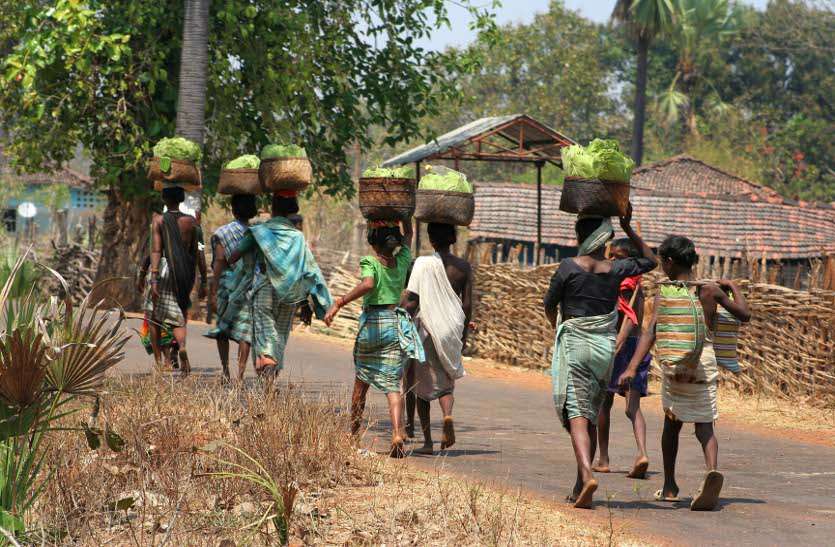 bastar छत्तीसगढ़ के इस जिले पर रख रहा पीएमओ नजर, यह है वजह