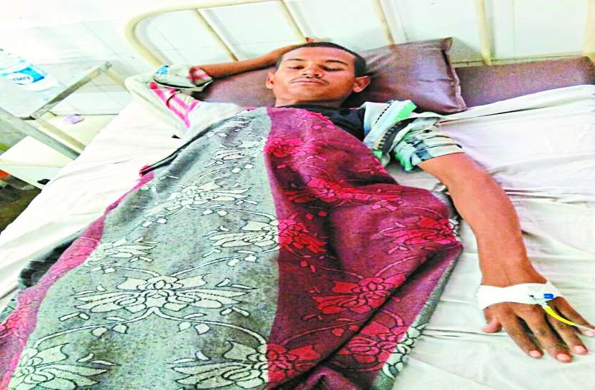 patrika खेत में कर रहे थे काम, अचानक मौत बनकर गिरी आसमान से बिजली, दो की मौत चार घायल