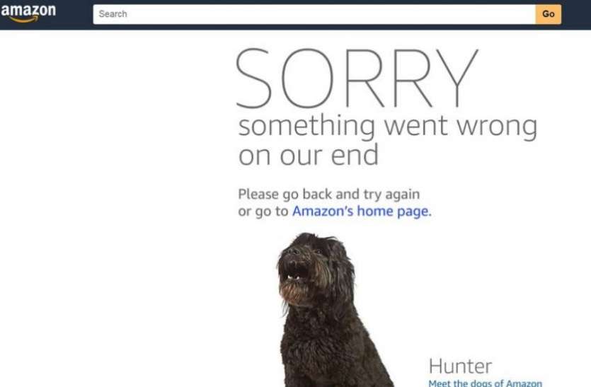 amazon Prime day sale महासेल के दिन ही फुस्स हुर्इ Amazon की वेबसाइट, शॅापिंग करने वालों के लिए बढ़ी दिक्कतें