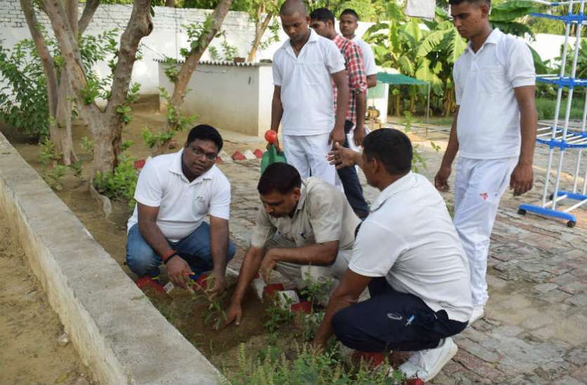 Plantation फिरोजाबाद की नर्सरी में नहीं रहे पौधे, यहां से की जा रही आपूर्ति