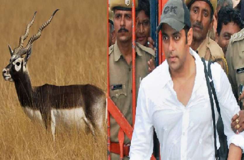 salman khan latest news आज फिर होगी सलमान को सजा व रिहाई को चुनौती देने वाली अपीलों की सुनवाई, पेश होगी हाजिरी माफी