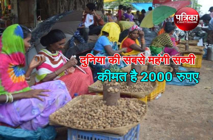 Chhattisgarh news यहां मिलती है दुनिया की सबसे महंगी सब्जी, कीमत है 2000 रुपए, जानें इसकी खूबी