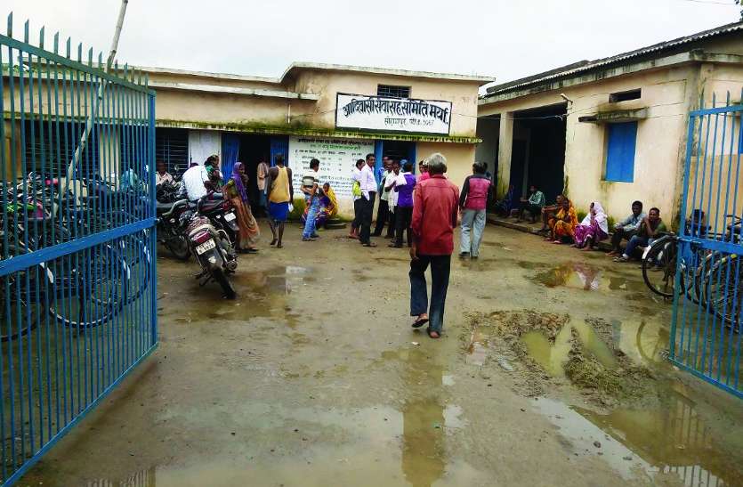 खाद की आपूर्ति नहीं हो पा रही अदिवासी सेवा सहकारी समिति सोहागपुर में खाद संकट, किसान परेशान और बिचौलिए मालामाल