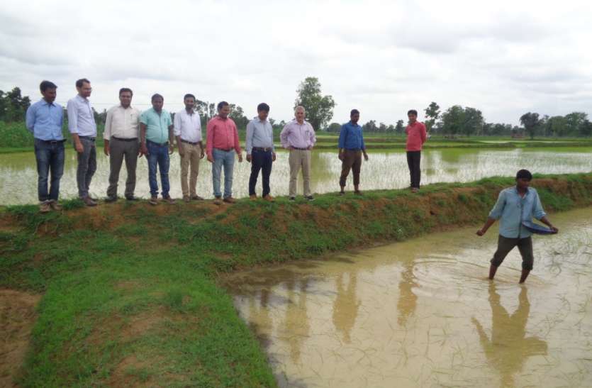 nirikchan रबी फसल को छोड़ चना व उतेरा फसलों में ध्यान दें किसान