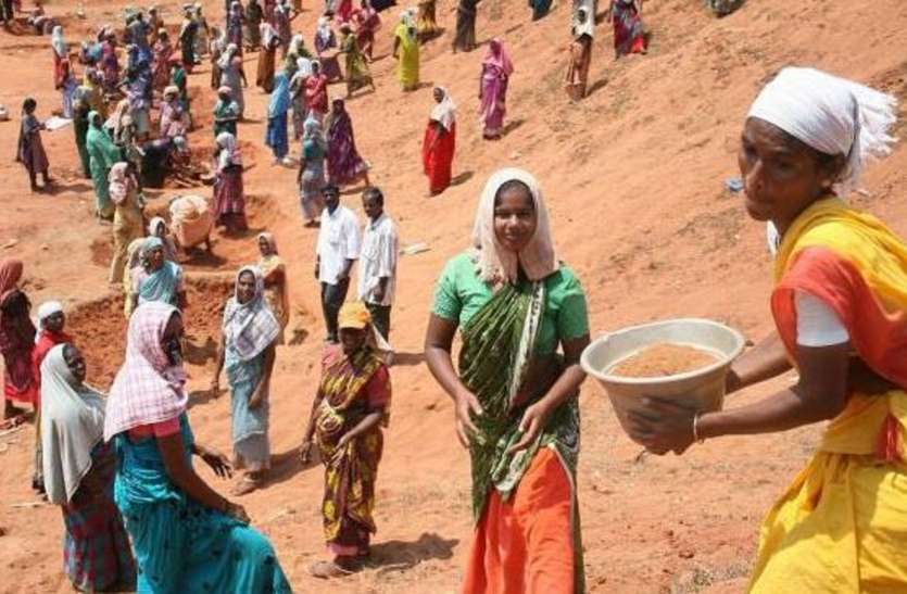 District Panchayat second rank in the state in successful implementation of MNREGA मनरेगा के सफल क्रियान्वयन में जिला पंचायत को प्रदेश में मिली दूसरी रैंक