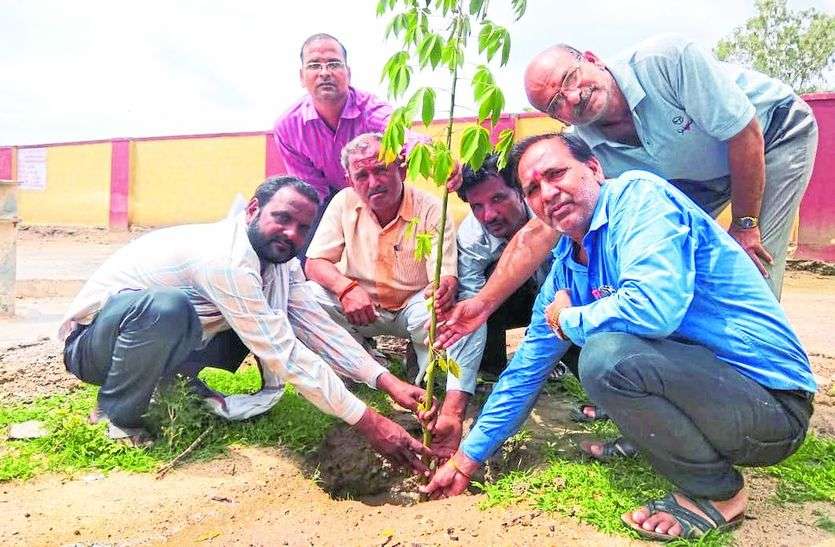 पौधारोपण करते शिक्षक। संस्कृत स्कूल में लगाए पौधे