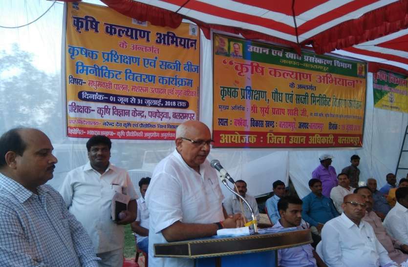 balrampur कृषि मंत्री ने गांव में लगायी चौपाल, सुनी समस्याएं, गिनाई उपलब्धियां