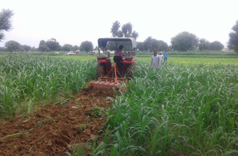 JCB was going on encroachment, threatened suicide by farmer अतिक्रमण पर चल रही थी जेसीबी, दस्ते को दी आत्महत्या की धमकी