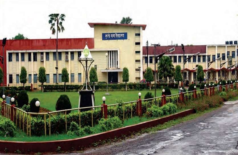 igkv छत्तीसगढ़ की एक और लम्बी छलांग, इस क्षेत्र में बढ़ा प्रदेश का मान