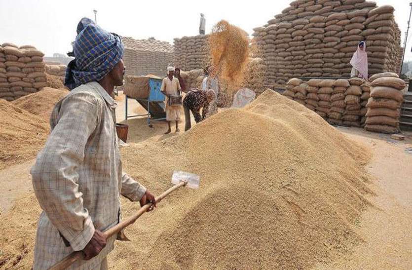 kisan किसानों को नहीं मिला उपज खरीद का भुगतान, 1332 करोड़ के भुगतान का इंतजार