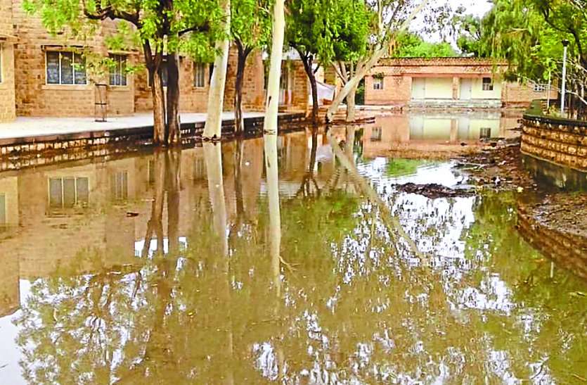 Light rain in the area बालोतरा व क्षेत्र में हुई हल्की बारिश