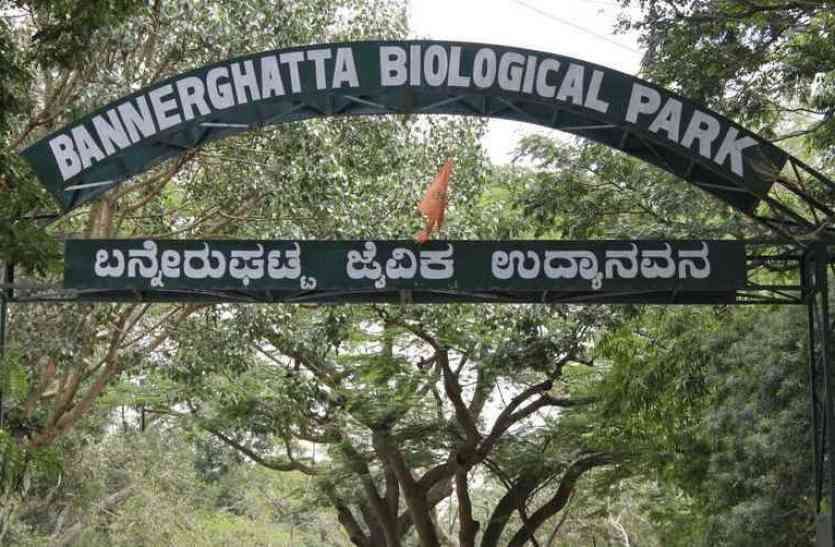 bannerghatta बन्नेरघट्टा में हिरन की संदिग्ध हालत में मौत