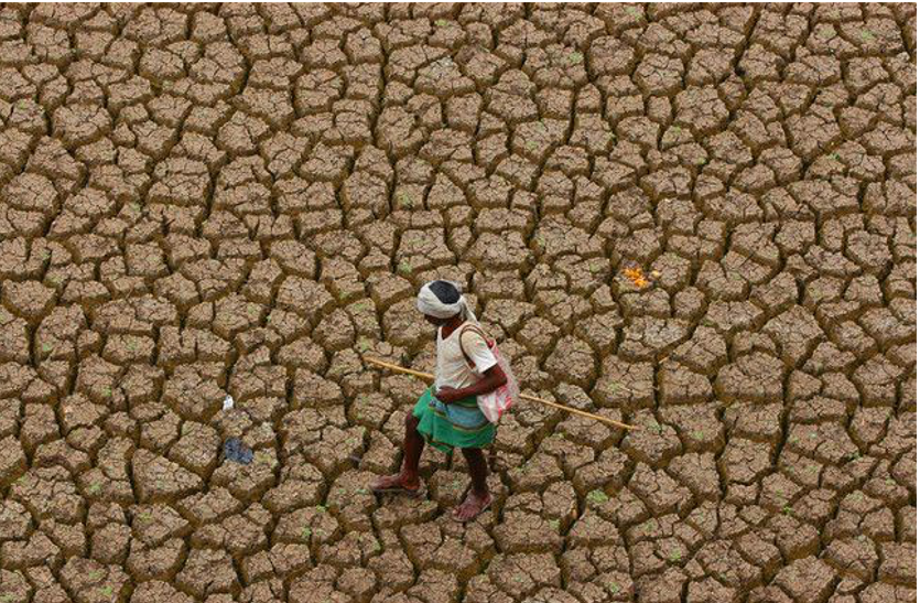 drought file photo बिहार में सूखे के हालात, धान की बुआई प्रभावित