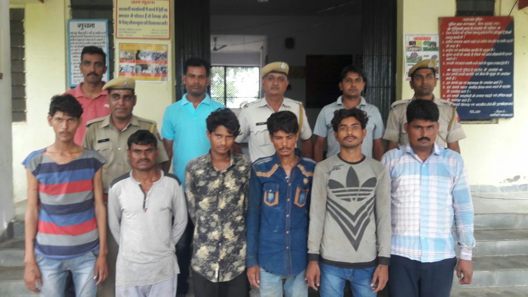 accused arrested भैसें चोेरी के आरोप में सरगना सहित छह आरोपियों को पुलिस ने किया गिरफ्तार, भैंसें चोरी कर करते थे ये काम..