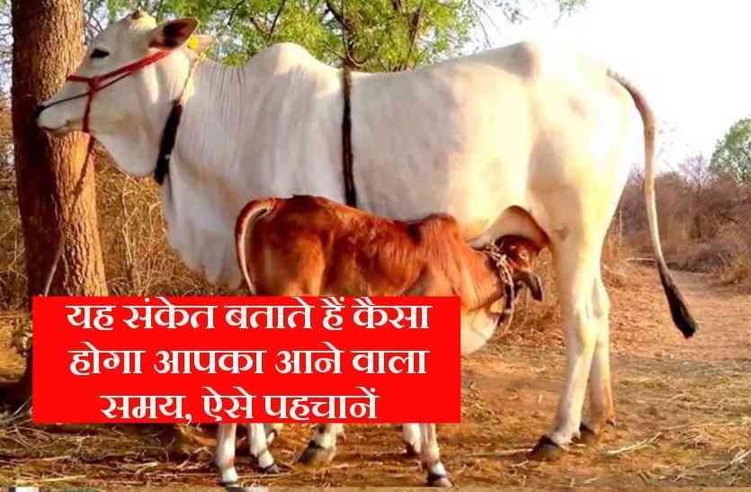 sign of good future