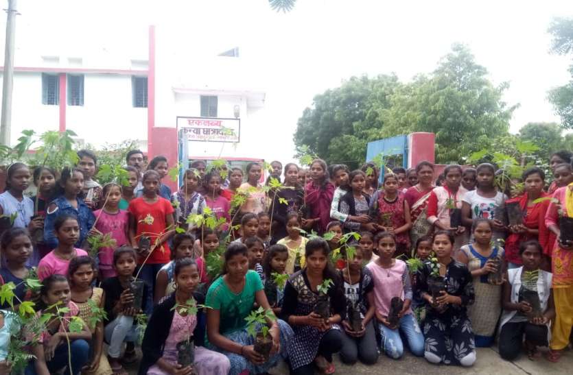 Ethical Obligation of Environmental Protection in Education Lessons: C शिक्षा की पाठ्शाला में पर्यावरण संरक्षता का नैतिक दायित्व: प्रदूषण मुक्त परिसर बनाने नौनिहालों ने लगाएं 550 पौधे