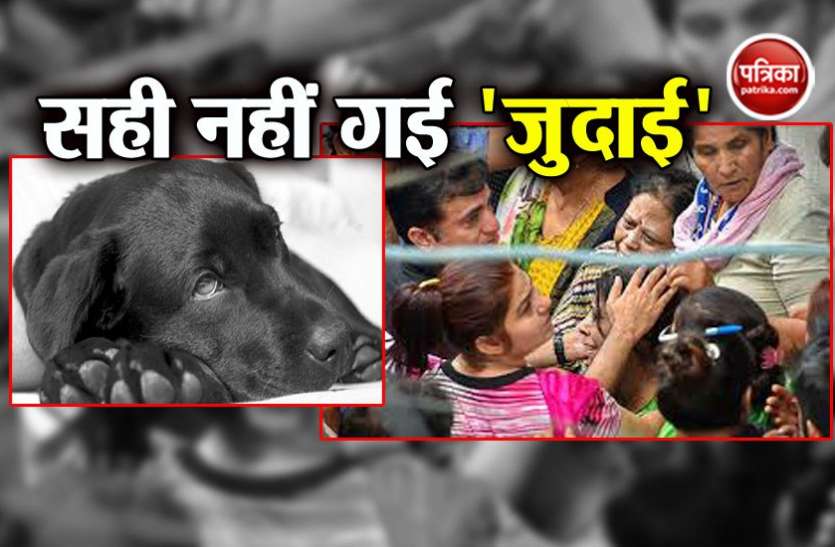 burari case बुराड़ी केसः 23 दिन भी जुदाई बर्दाश्त नहीं कर पाया टॉमी, क्या आत्माओं से कर रहा था बात?