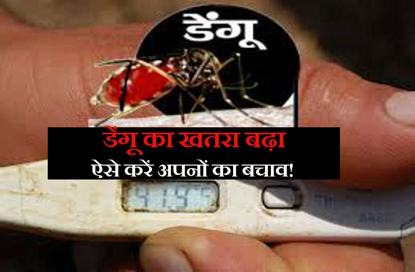 dengue in india बढ़ रहा है डेंगू का खतरा: इन तरीकों से करें कंट्रोल