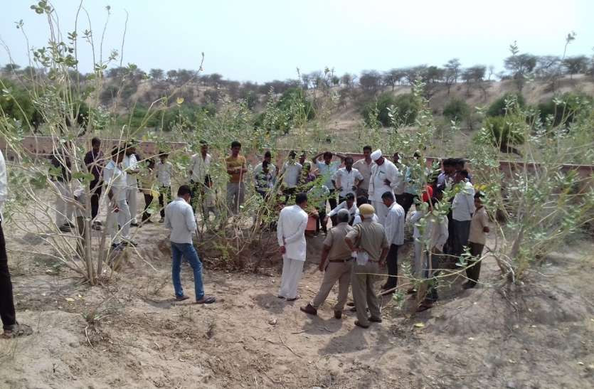 The victim of chinkara at Hathitala हाथीतला में चिंकारे का शिकार