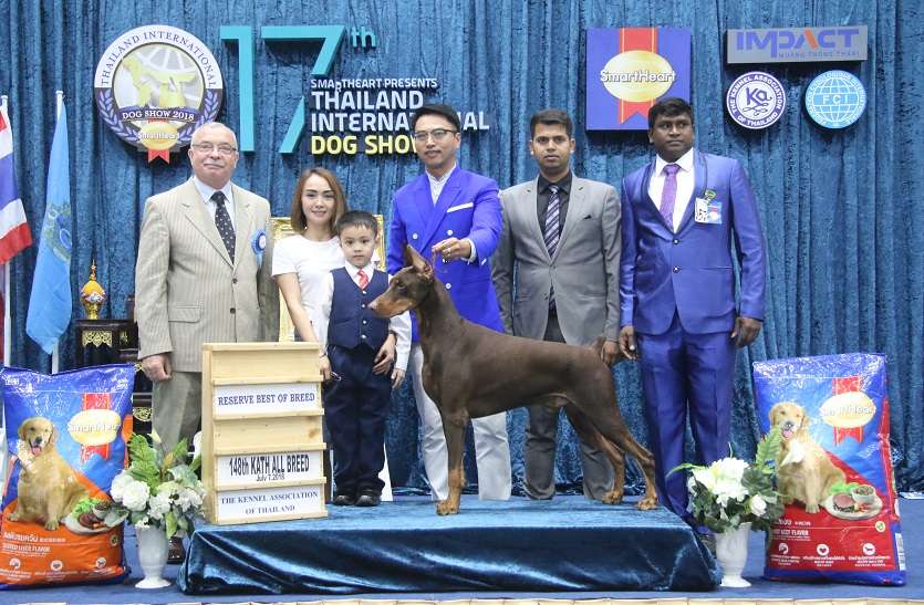 international dog show02