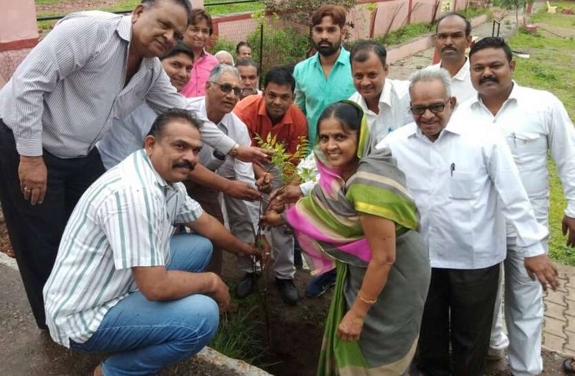 pratapgarh विद्यालय में पौधरोपण, विद्यार्थियों को सुरक्षा का संकल्प