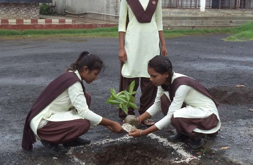 Prevent Natural Beauty from Ending प्राकृतिक सौंदर्य को खत्म होने से रोकें