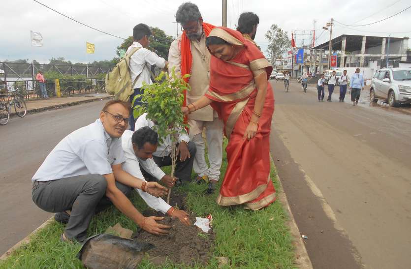Crushing for Tree Harvesting वृक्ष की कटाई पर्यावरण के लिए संकट