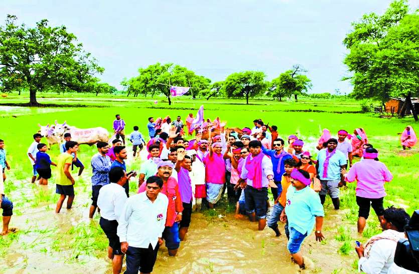 janta congress जनता कांग्रेस के नेताओं ने चलाया हल और किसानों के साथ काम में बंटाया हाथ