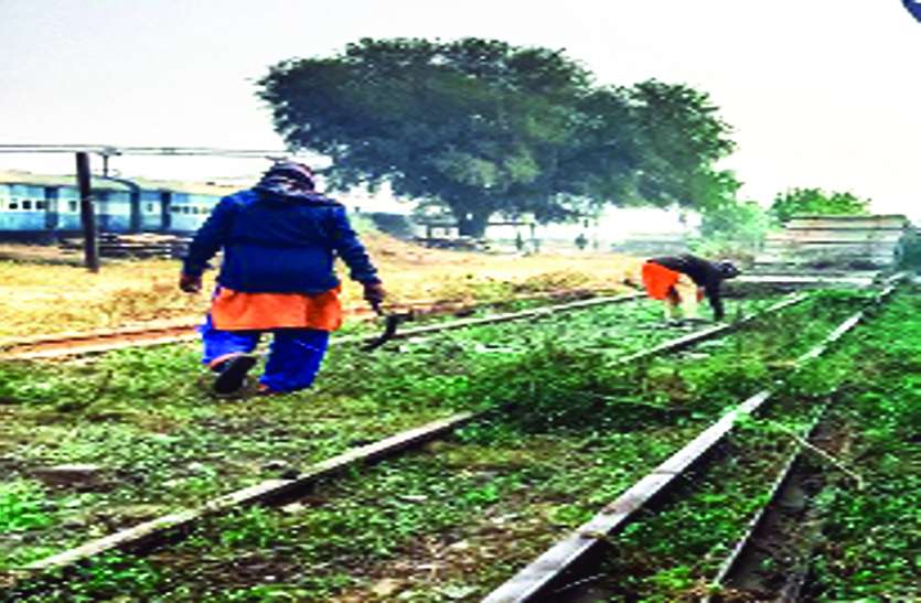 Women trackmaintainer महिला ट्रेकमेन अब बदल सकेंगी अपना विभाग ट्रेकमेंटेनर संघ की मांग पर आरबीआई की सहमति