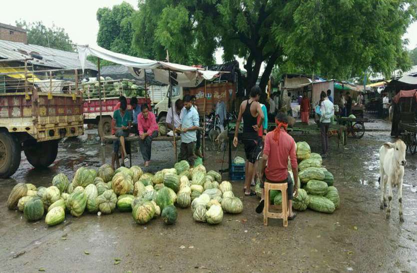 transporter strike हड़ताल का दिखा असर, धनिया सौ के पार तो टमाटर दोगुना महंगा