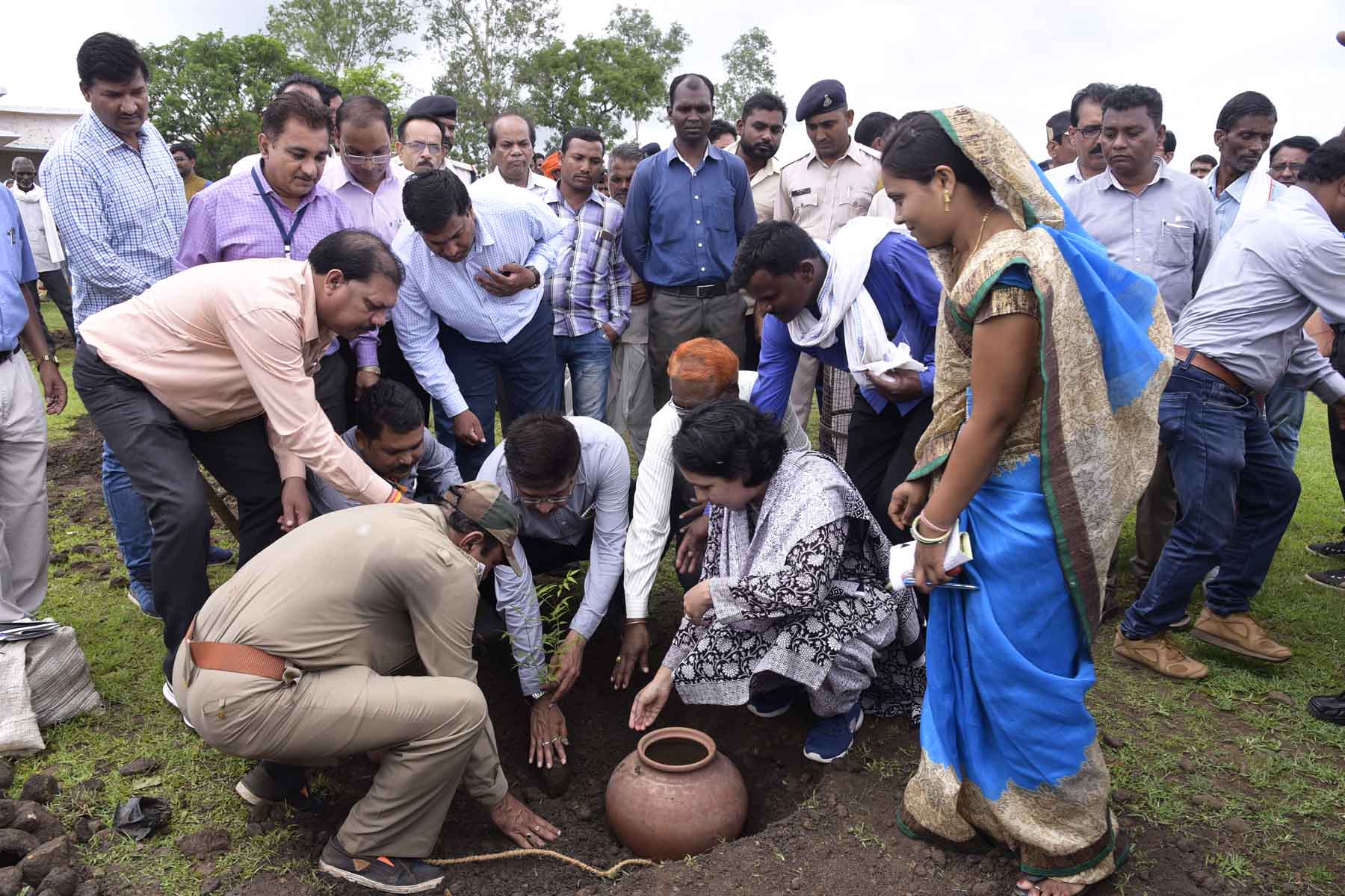 Plant will be safe in lesser work कम मेहनत में सुरक्षित रहेगा पौधा