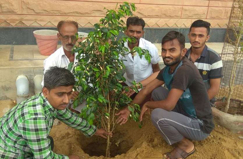 Hariyalo inspired by Rajasthan campaign हरियाळो राजस्थान अभियान से प्रेरित, पौधे लगा दिया पर्यावरण संरक्षण का संदेश