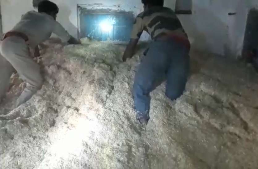 dewas भूसे के ढेर में निकली लकडिय़ां