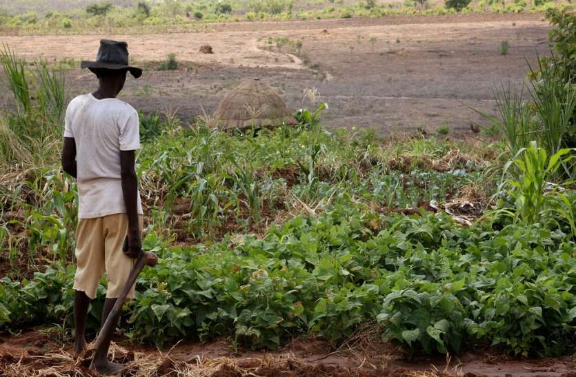 farmer फसलों के खराब होने से किसान परेशान, सरकार के खिलाफ करेंगे आंदोलन!