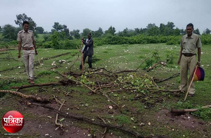banswara बांसवाड़ा : वन विभाग की पड़त भूमि पर कर दी बुवाई, 38 जनों के खिलाफ मामला दर्ज