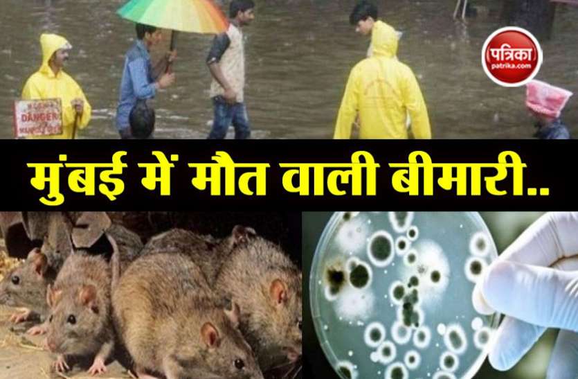 mumbai मुंबई में अलर्ट: 24 घंटे में जान ले रही है ये बीमारी, अब तक 4 लोगों की मौत