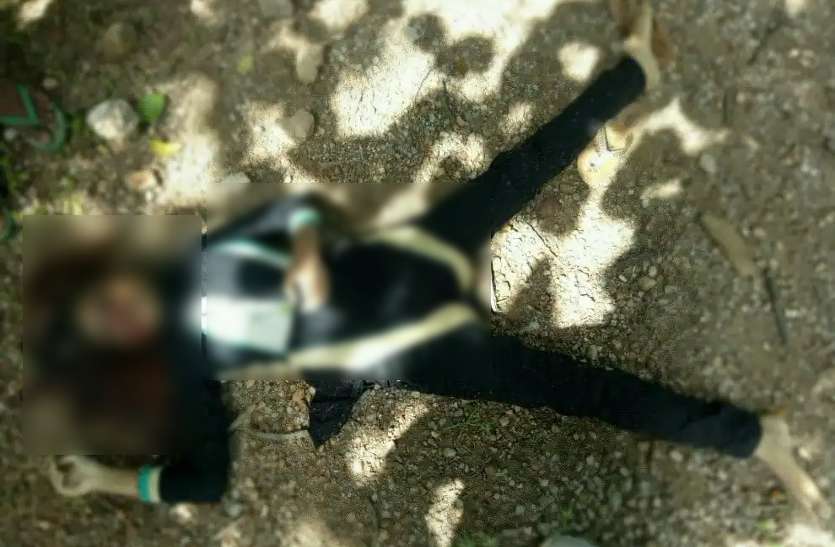Girl body झारखंड से शिक्षक ने भांजे के साथ लड़की का कट्टे की नोंक पर किया था अपहरण, फिर CG में लाकर मार दी गोली