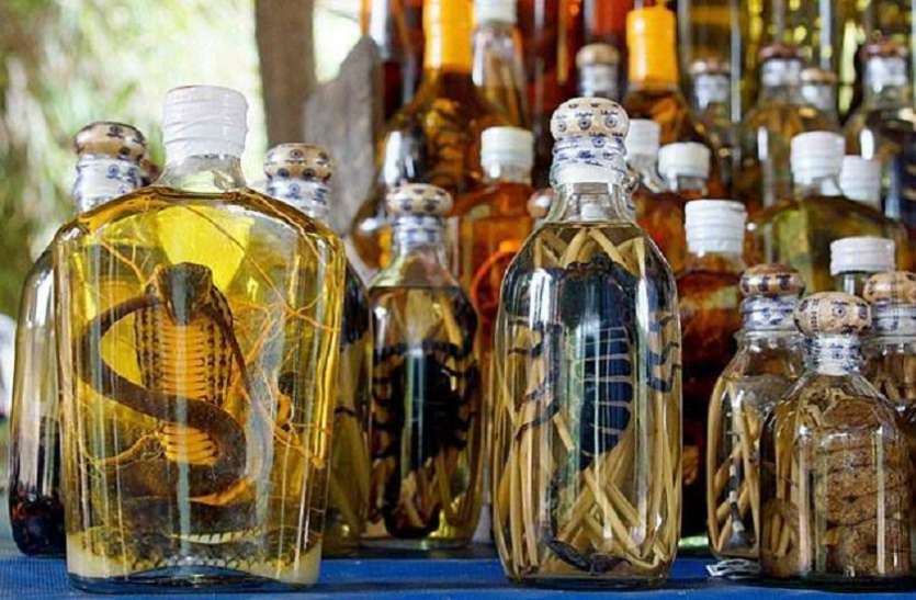 chinese girl buys snake to make wine gets bitten and dies लड़की ने ऑनलाइन ऑर्डर की 'मौत', इस चीज को बनाने के लिए मंगवाया था ये खतरनाक सामान