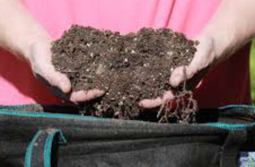 The fabric bag is effective for the preparation of the plant पौध तैयार करने के लिए कपड़े की थैली है कारगर
