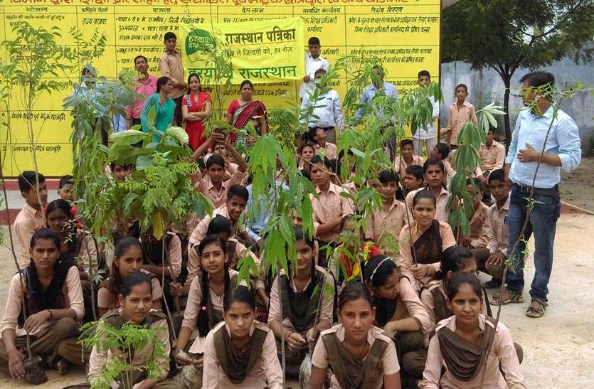 Planting plant #Hariyalo Rajasthan@ बढ़ रहे प्रदूषण को रोकने के लिए पौधों का होना जरूरी, विभिन्न किस्मों के 501 पौधे लगाए