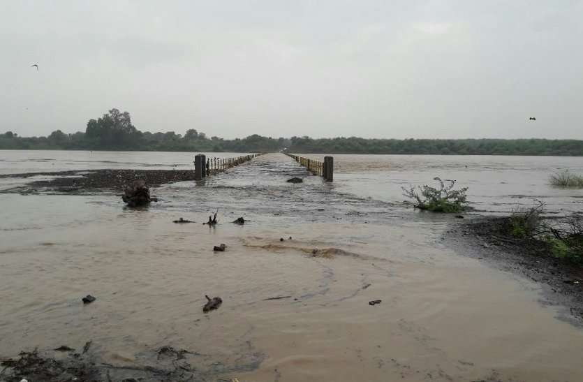 seap river sheopur breaking : भारी बारिश से उफनी नदियां,सीप की बाढ में फंसे दो चरवाहे,अन्य जगहों पर भी यह स्थिति