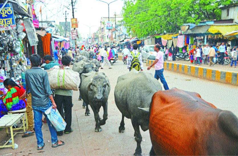 Ratauno Gokul gram 500 acres land रतौना में गोकुल ग्राम को मिली 500 एकड़ जमीन