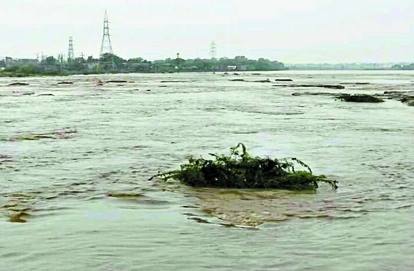 Heavy Rains In Sheopur
