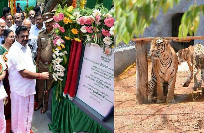 AIADMK ready for Lok Sabha elections लोकसभा चुनाव के लिए एआईएडीएमके तैयार