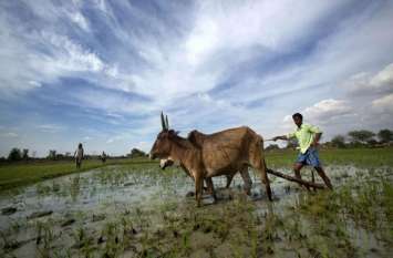 opinion,work and life,rajasthan patrika article, opinion,work and life,rajasthan patrika article,