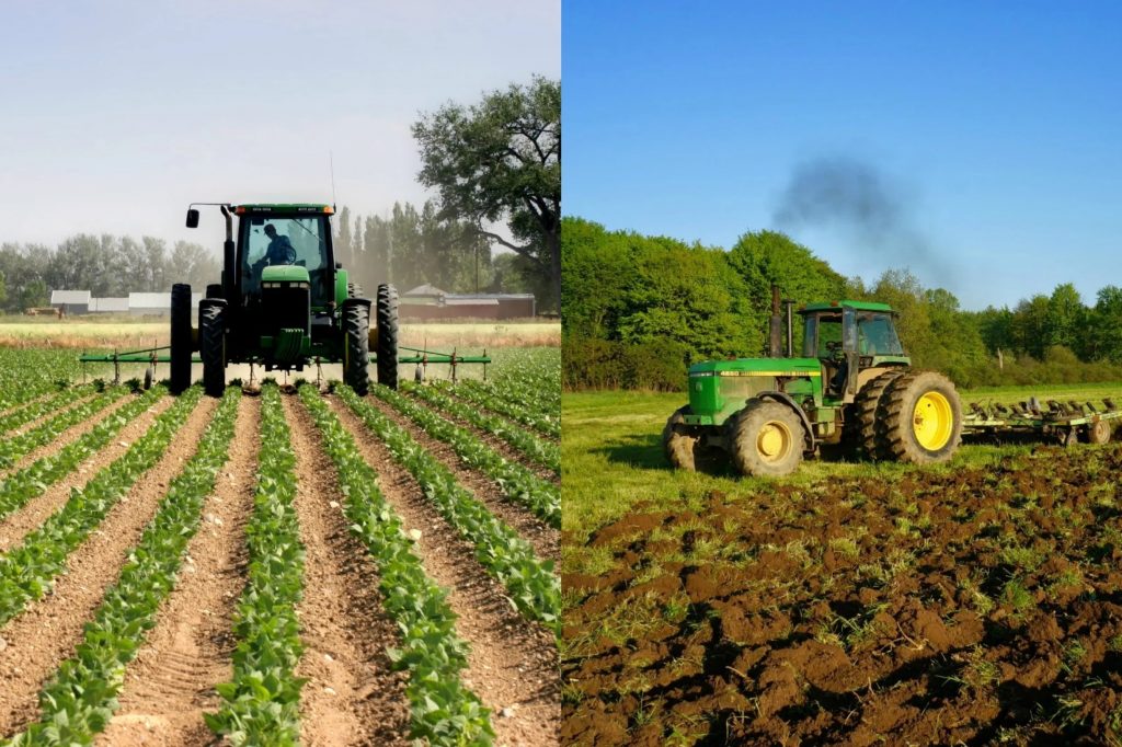 What Is Arable Farming